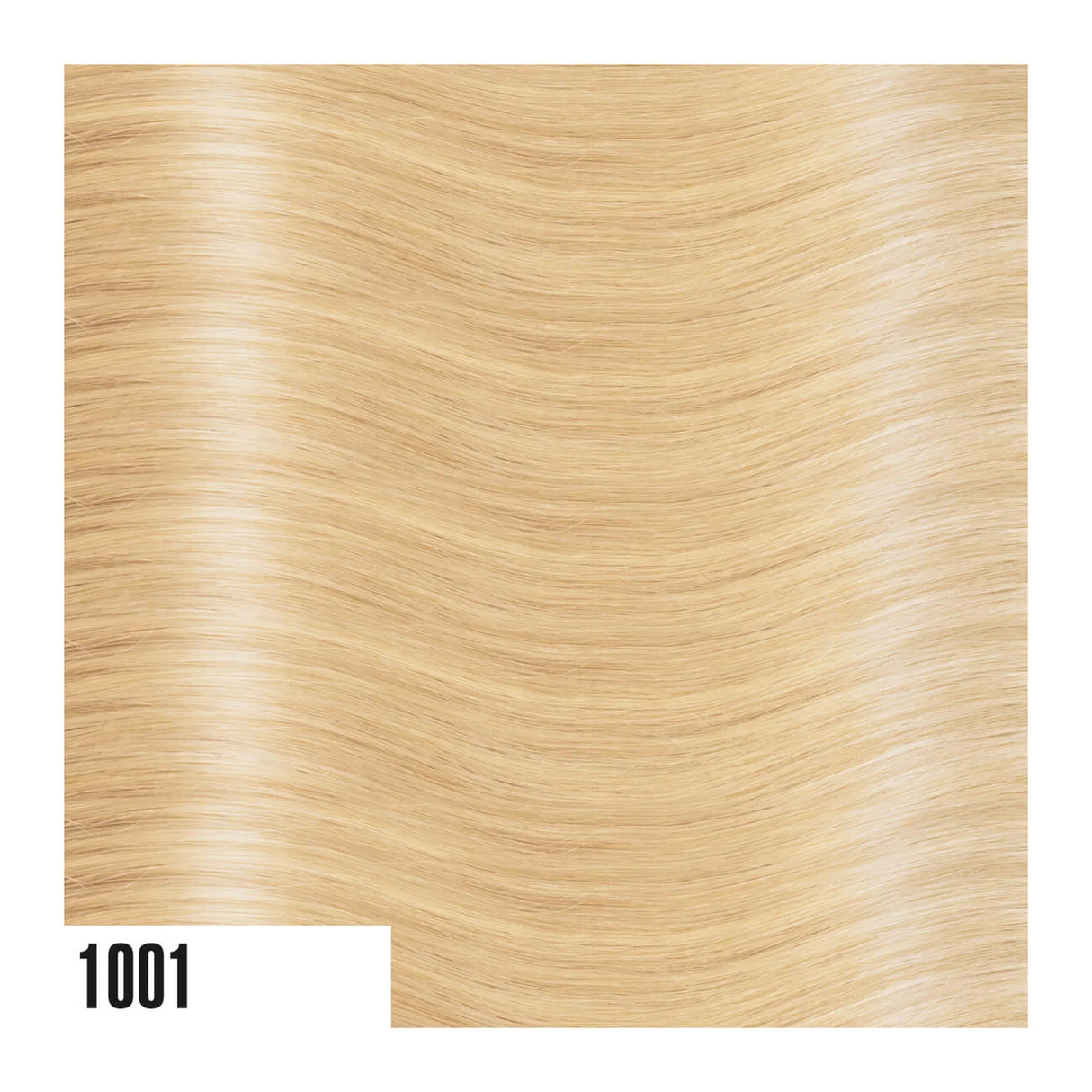 Extension con keratina She 40/50cm (x10) - Color+ srl