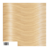 Extension con keratina She 40/50cm (x10) - Color+ srl